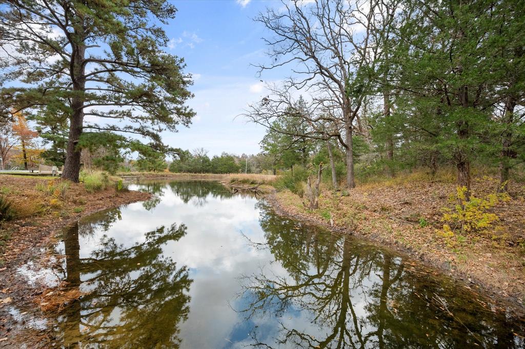 121 County Rd 540, Fairfield, Texas image 1