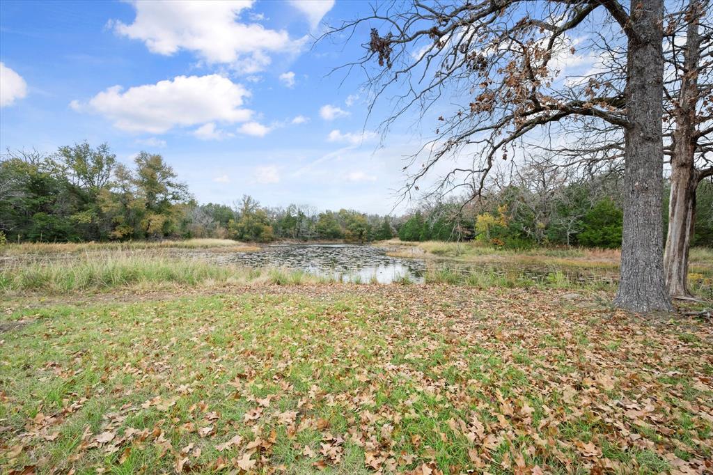 121 County Rd 540, Fairfield, Texas image 12