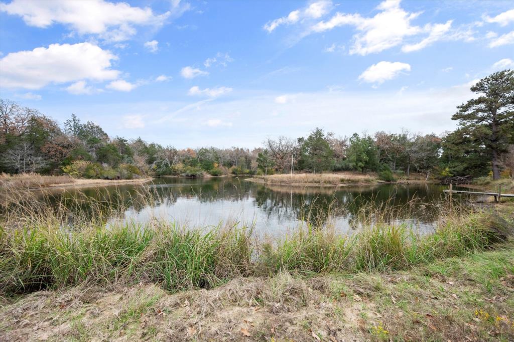 121 County Rd 540, Fairfield, Texas image 11