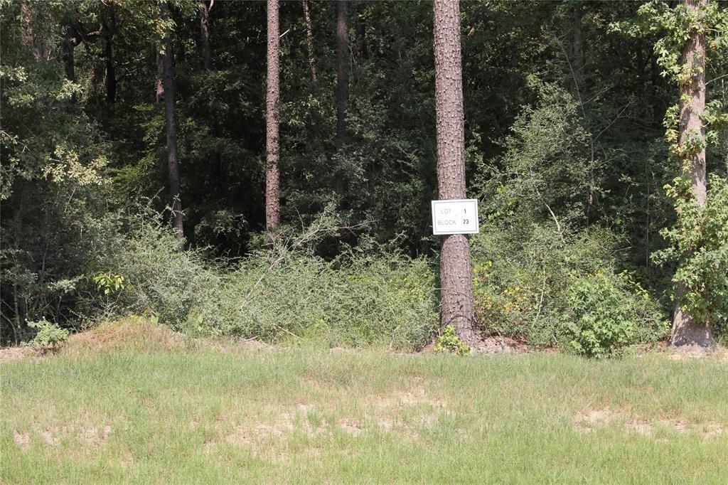 5-23-1 Lonestar Road, Huntsville, Texas image 3