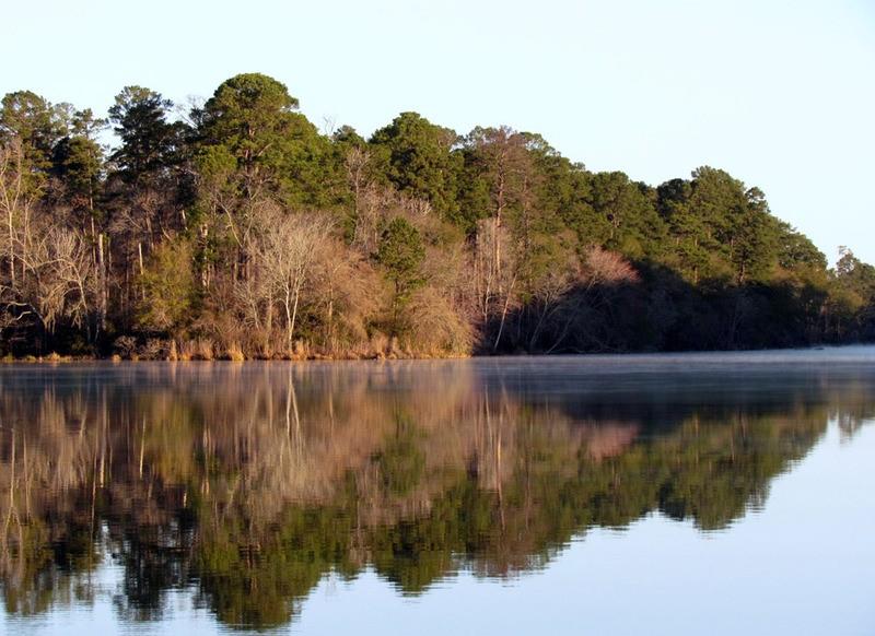 5-23-1 Lonestar Road, Huntsville, Texas image 10