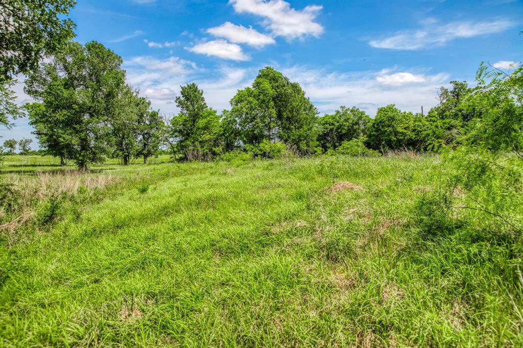 424 Brazos Court Bnd, Caldwell, Texas image 8