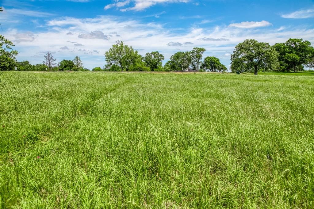 424 Brazos Court Bnd, Caldwell, Texas image 9