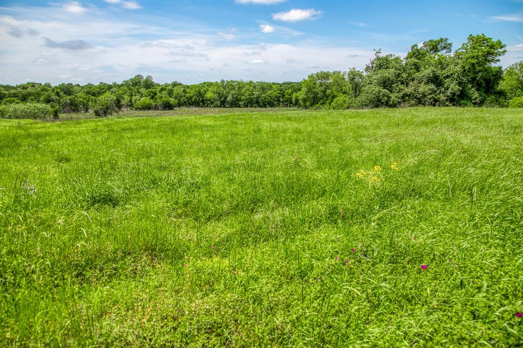 424 Brazos Court Bnd, Caldwell, Texas image 5