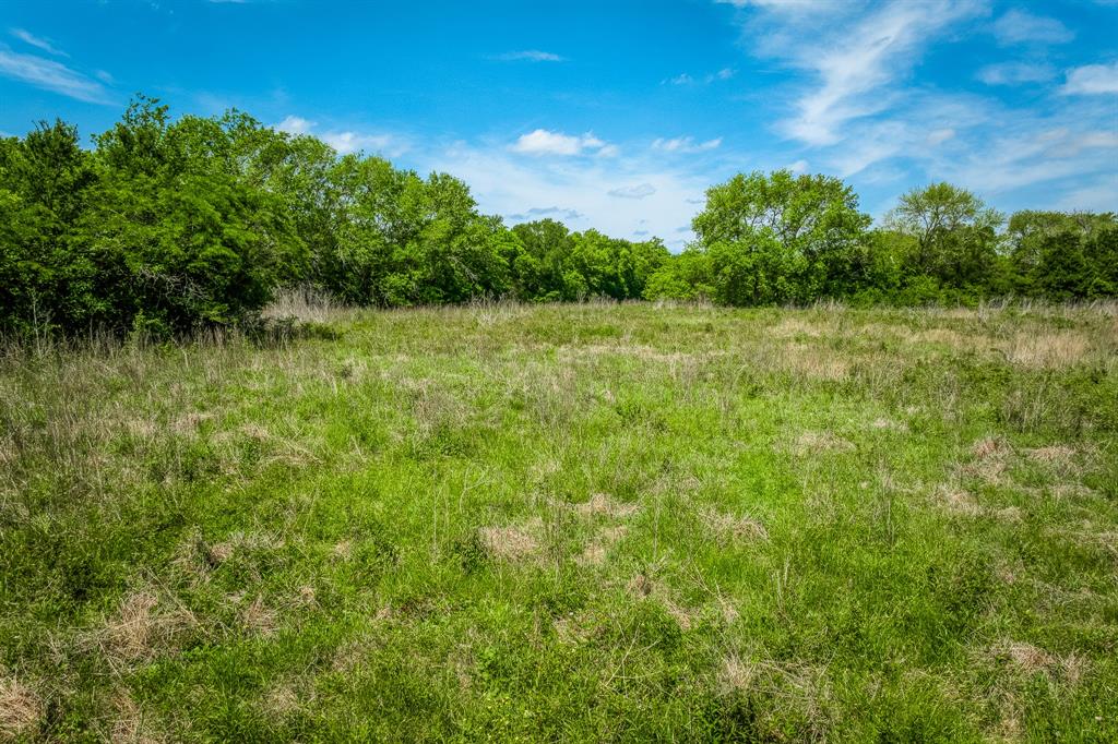 424 Brazos Court Bnd, Caldwell, Texas image 15