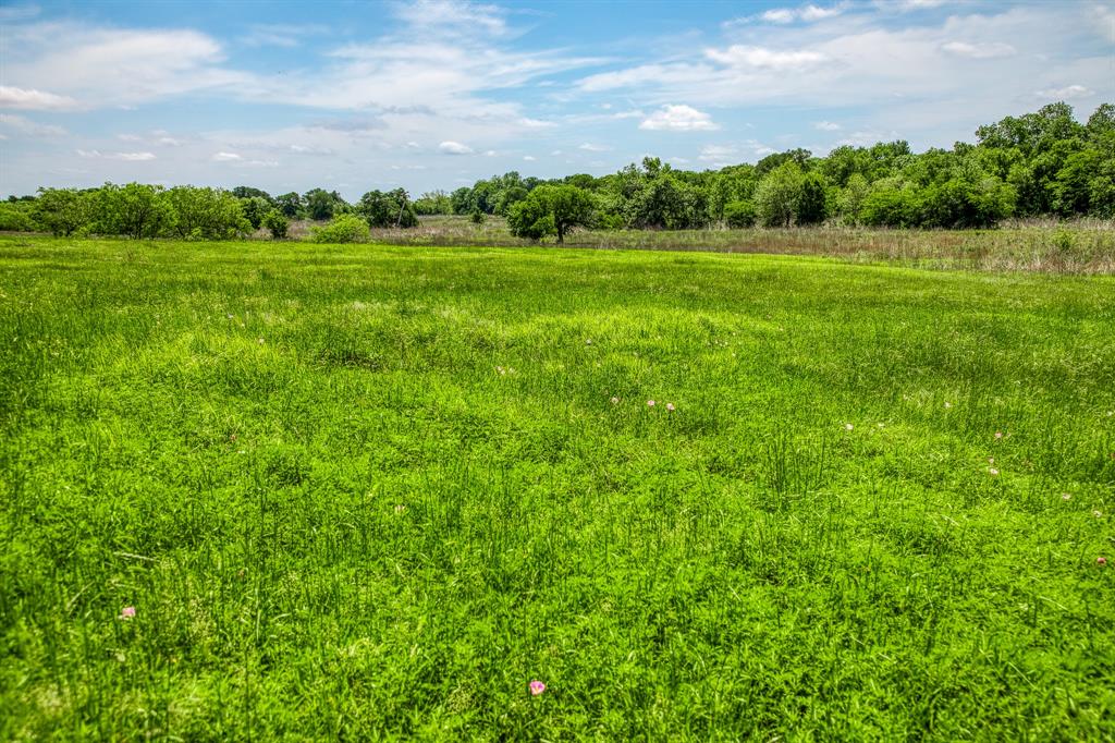424 Brazos Court Bnd, Caldwell, Texas image 10