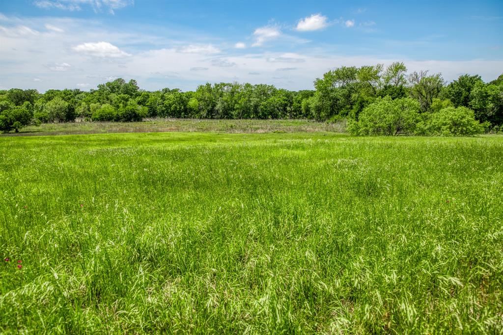 424 Brazos Court Bnd, Caldwell, Texas image 6