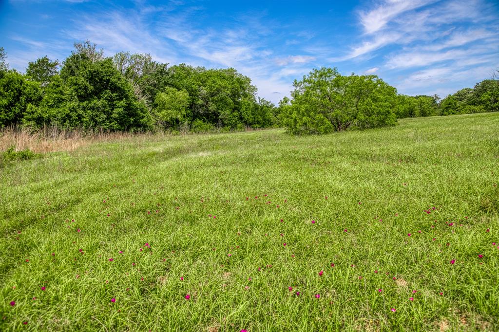 424 Brazos Court Bnd, Caldwell, Texas image 12