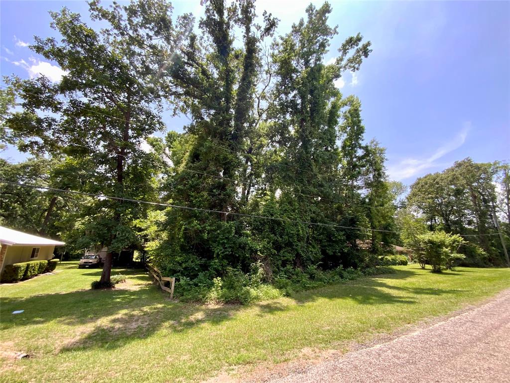 TBD Hickory Ridge, Onalaska, Texas image 4