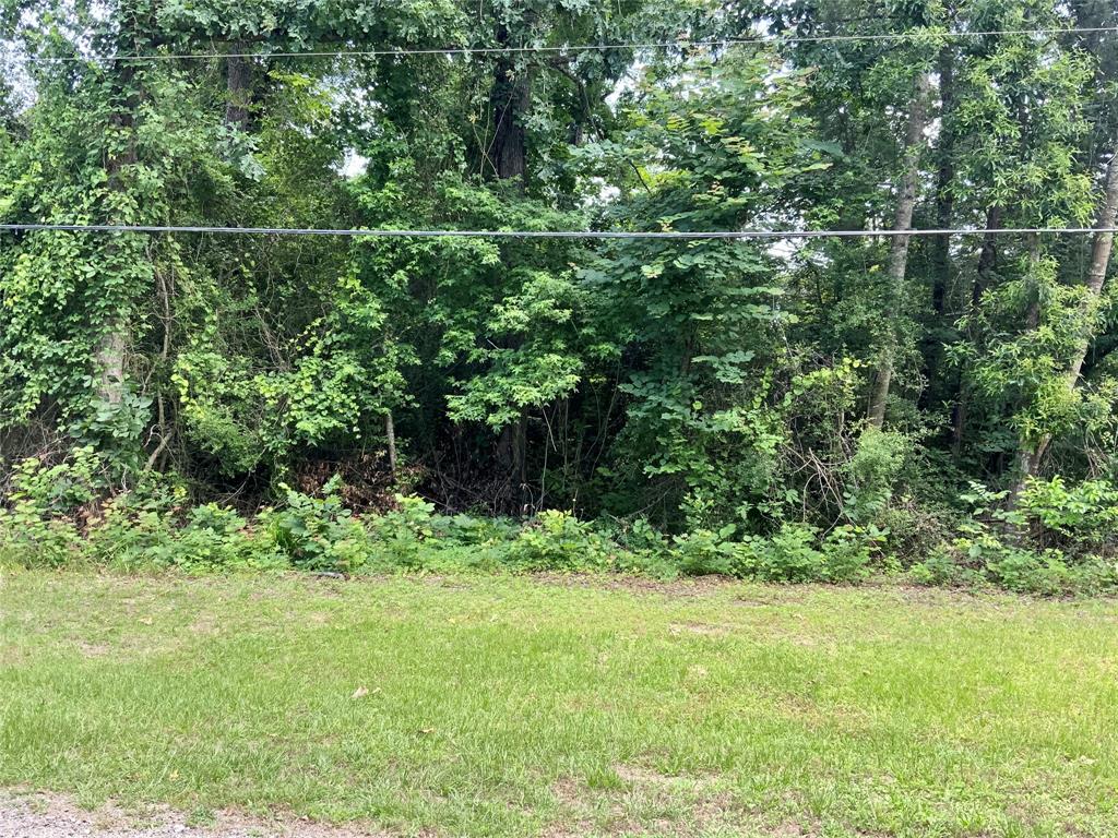TBD Hickory Ridge, Onalaska, Texas image 6