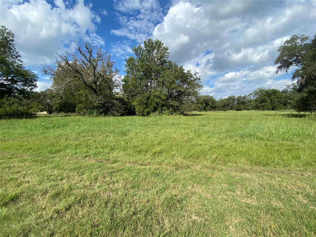 275 Horse Shoe Trail, Angleton, Texas image 11