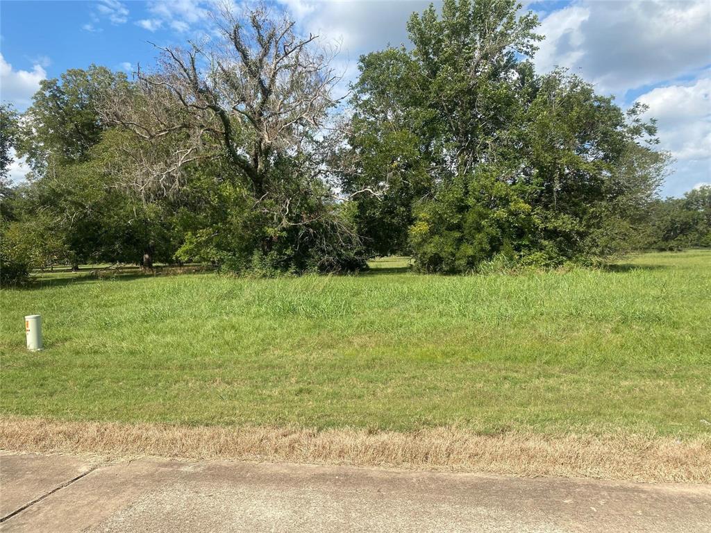 275 Horse Shoe Trail, Angleton, Texas image 8