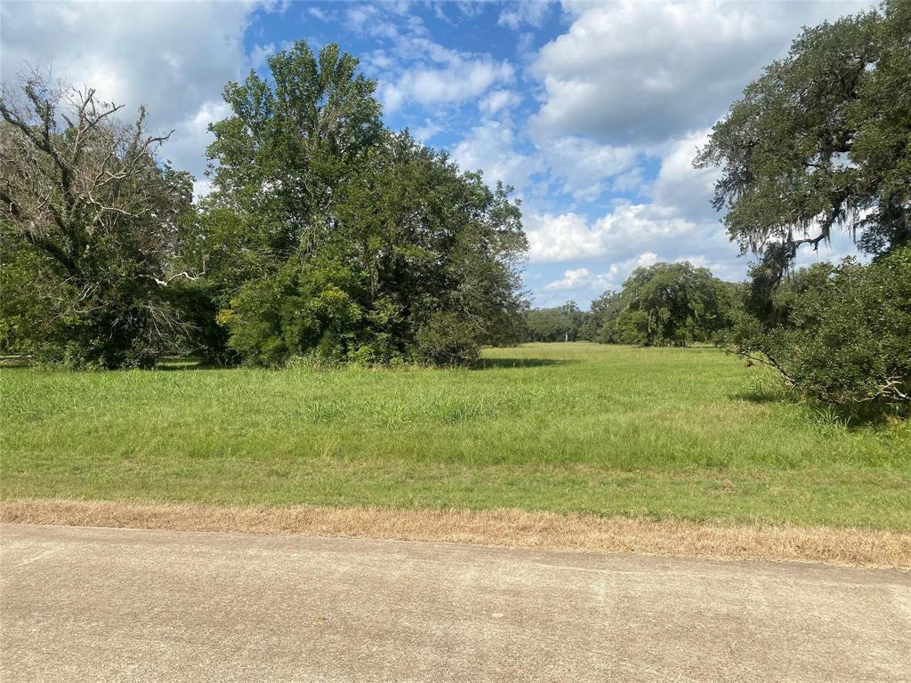 275 Horse Shoe Trail, Angleton, Texas image 4