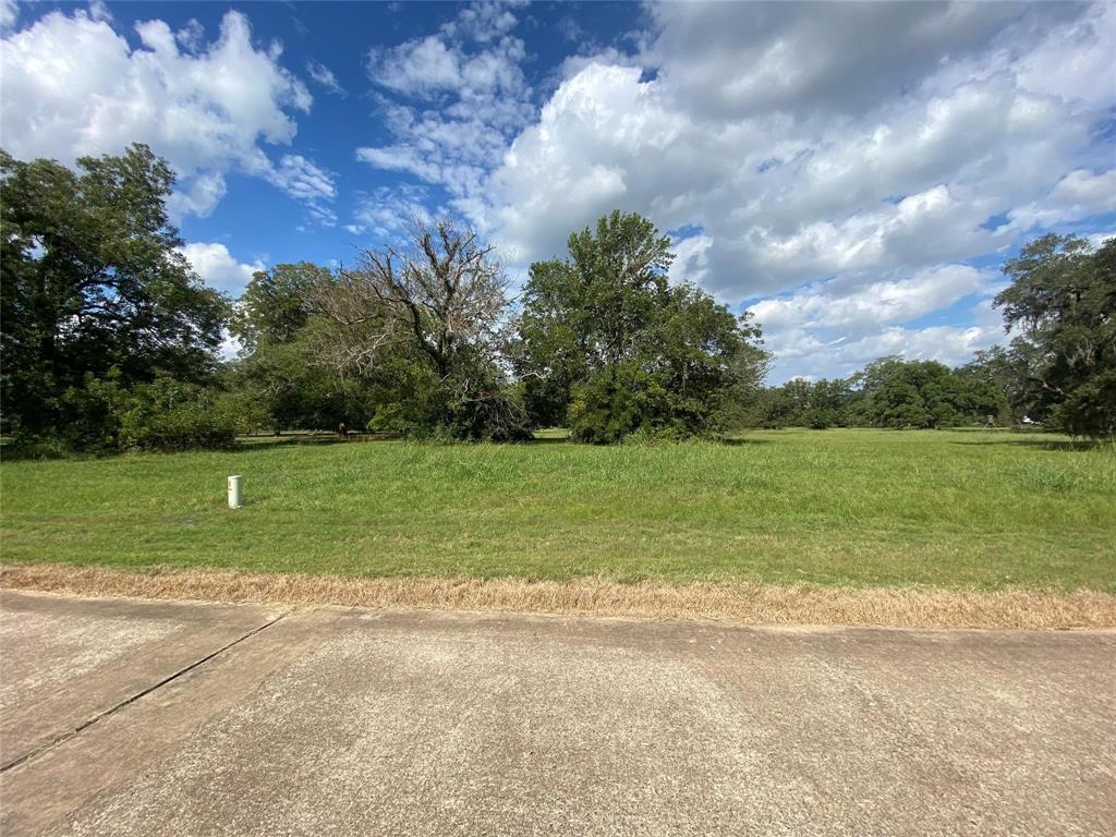 275 Horse Shoe Trail, Angleton, Texas image 3