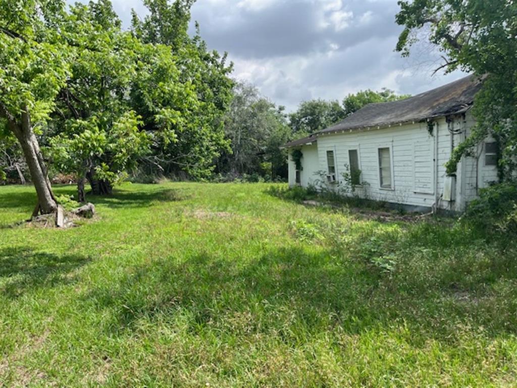 414 E Davitt Street, Eagle Lake, Texas image 4