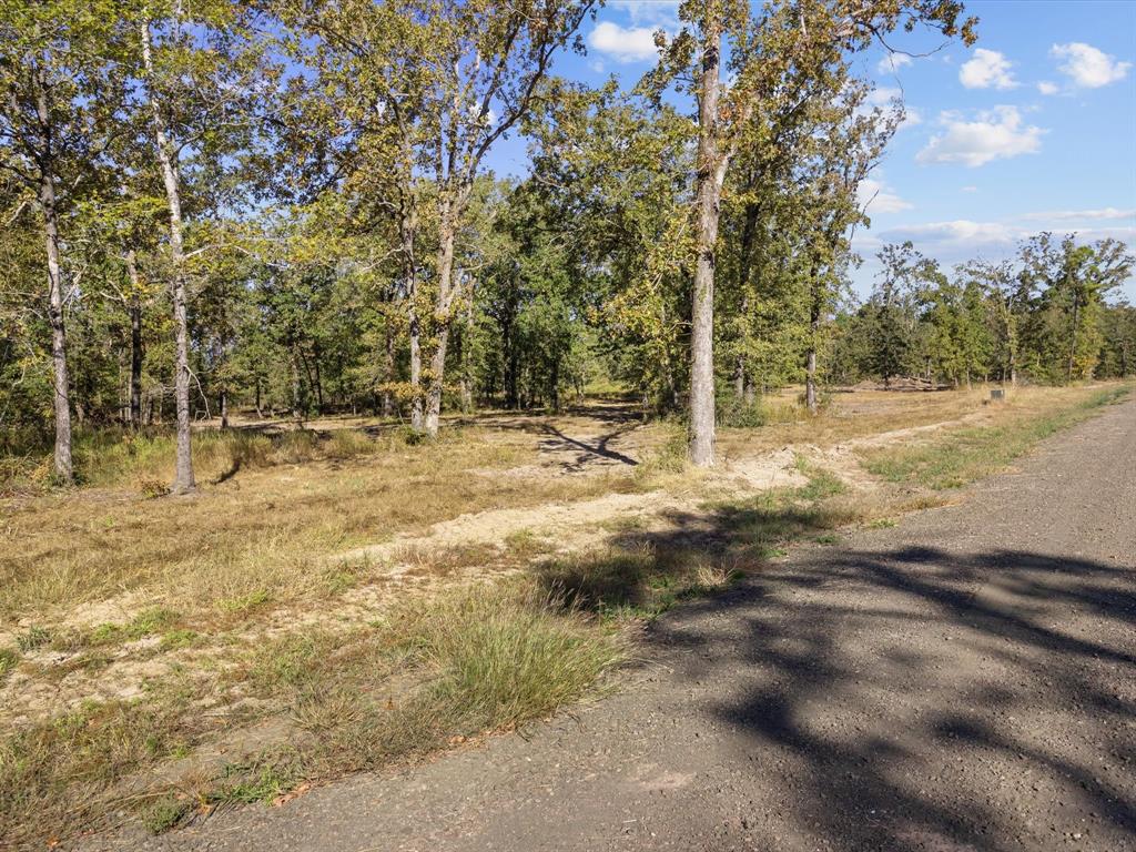 Tract 3 Private Road 7860, Broaddus, Texas image 8