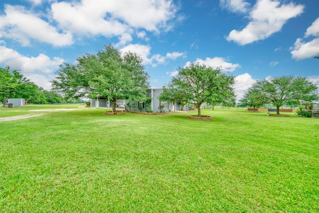 30.0124 Acres Dutton Lane, Madisonville, Texas image 4