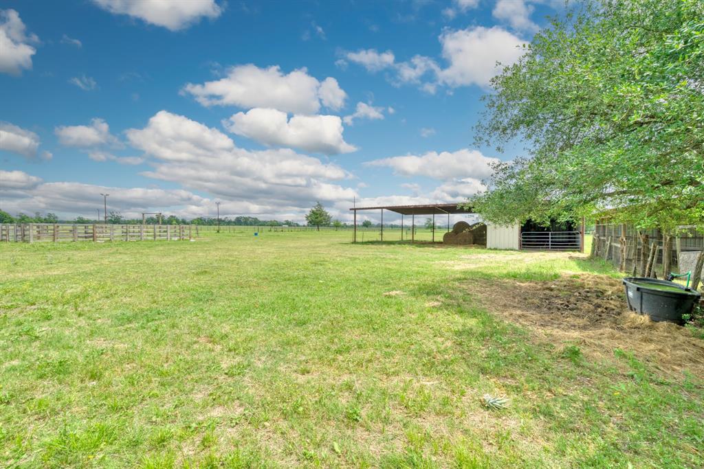 30.0124 Acres Dutton Lane, Madisonville, Texas image 44