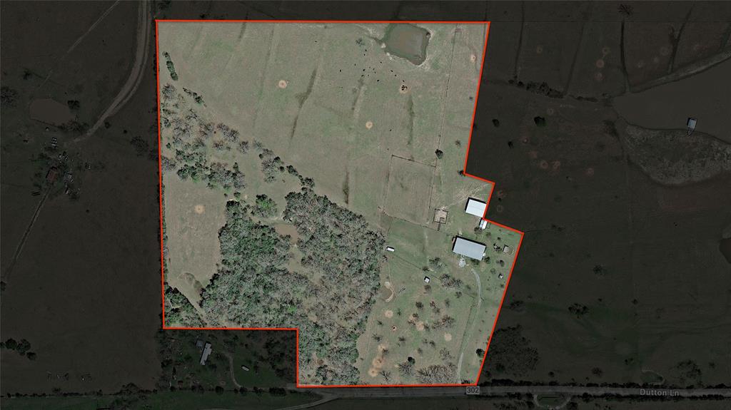 30.0124 Acres Dutton Lane, Madisonville, Texas image 50