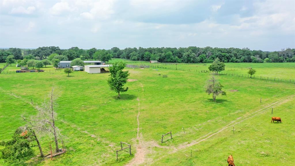 30.0124 Acres Dutton Lane, Madisonville, Texas image 46