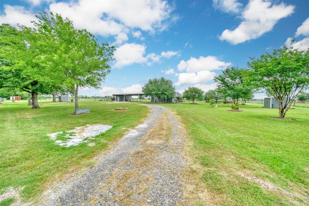 30.0124 Acres Dutton Lane, Madisonville, Texas image 3