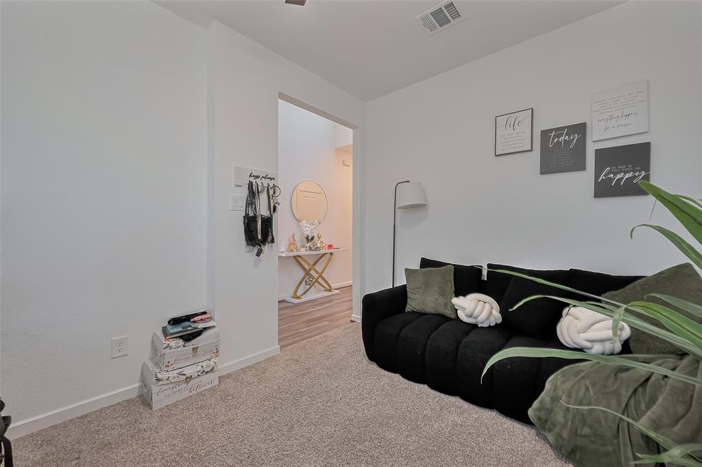21611 Shadowbrook Birch Drive, Cypress, Texas image 21
