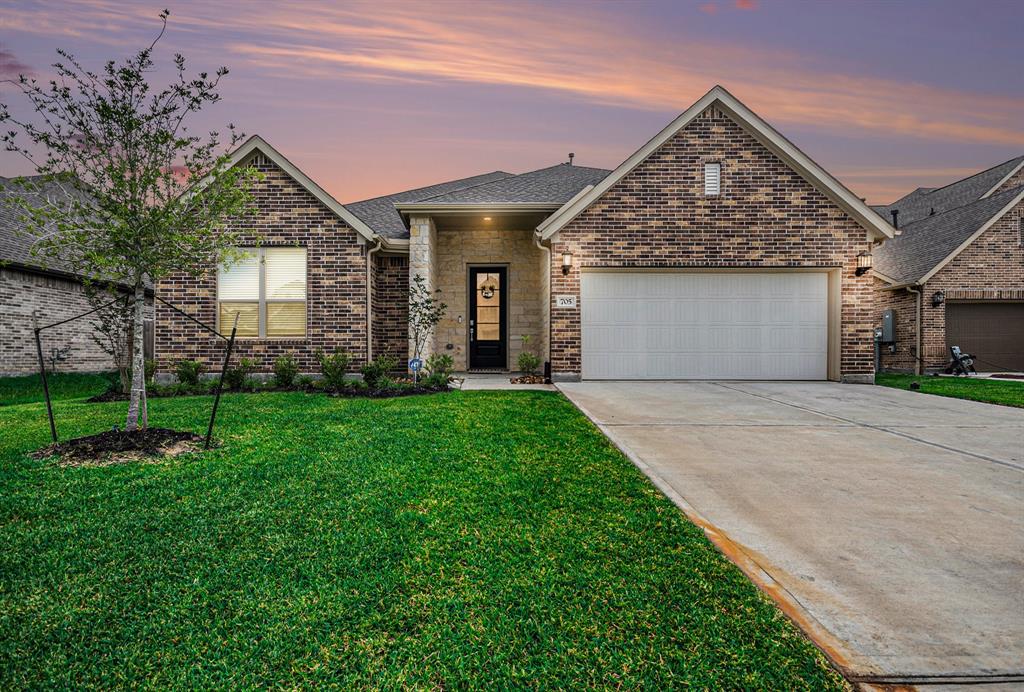 705 Western Fern, League City, Texas image 1