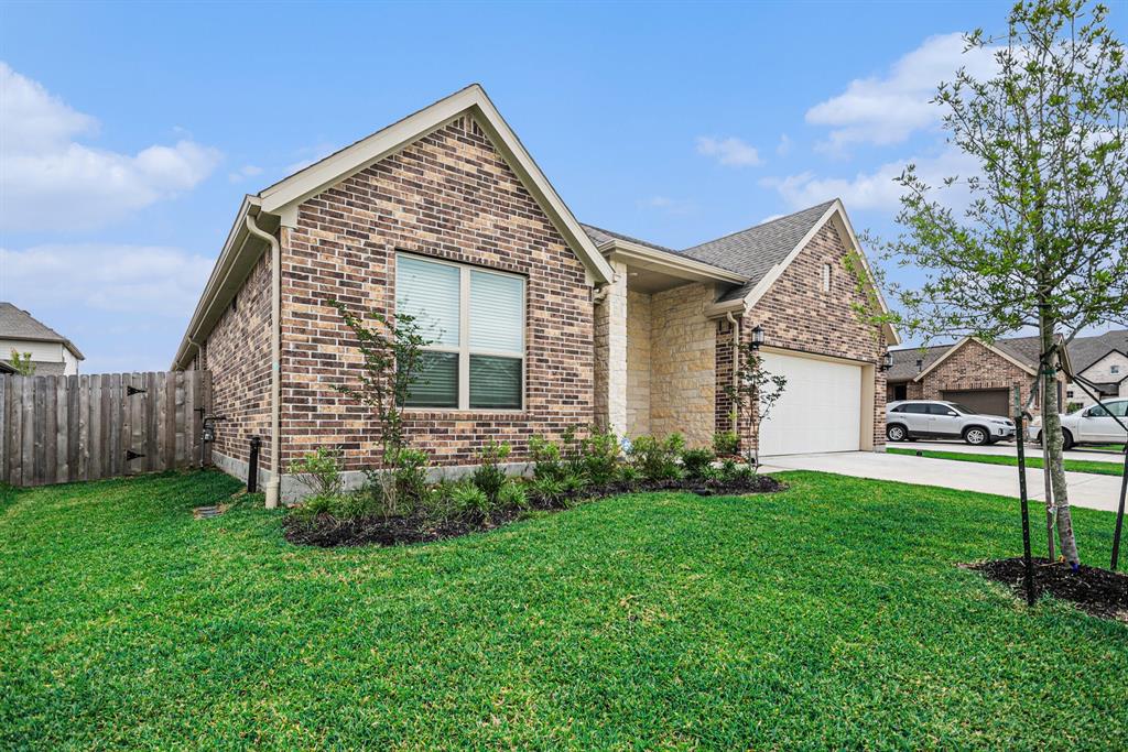 705 Western Fern