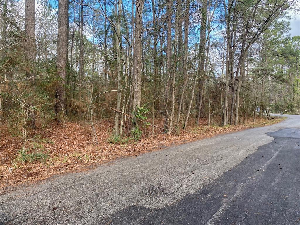TBD Crockett Road, Willis, Texas image 3
