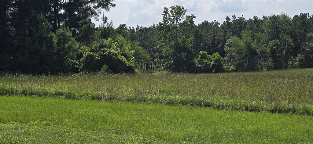 1560 Fm 355, Groveton, Texas image 21