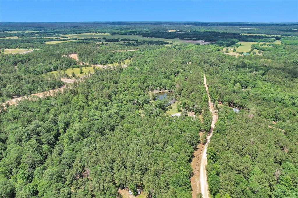 Hickory Hill Road, Cleveland, Texas image 10