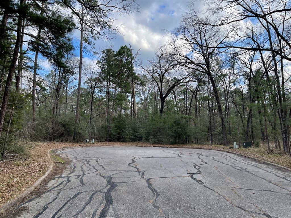 TBD Fir Court, Huntsville, Texas image 3