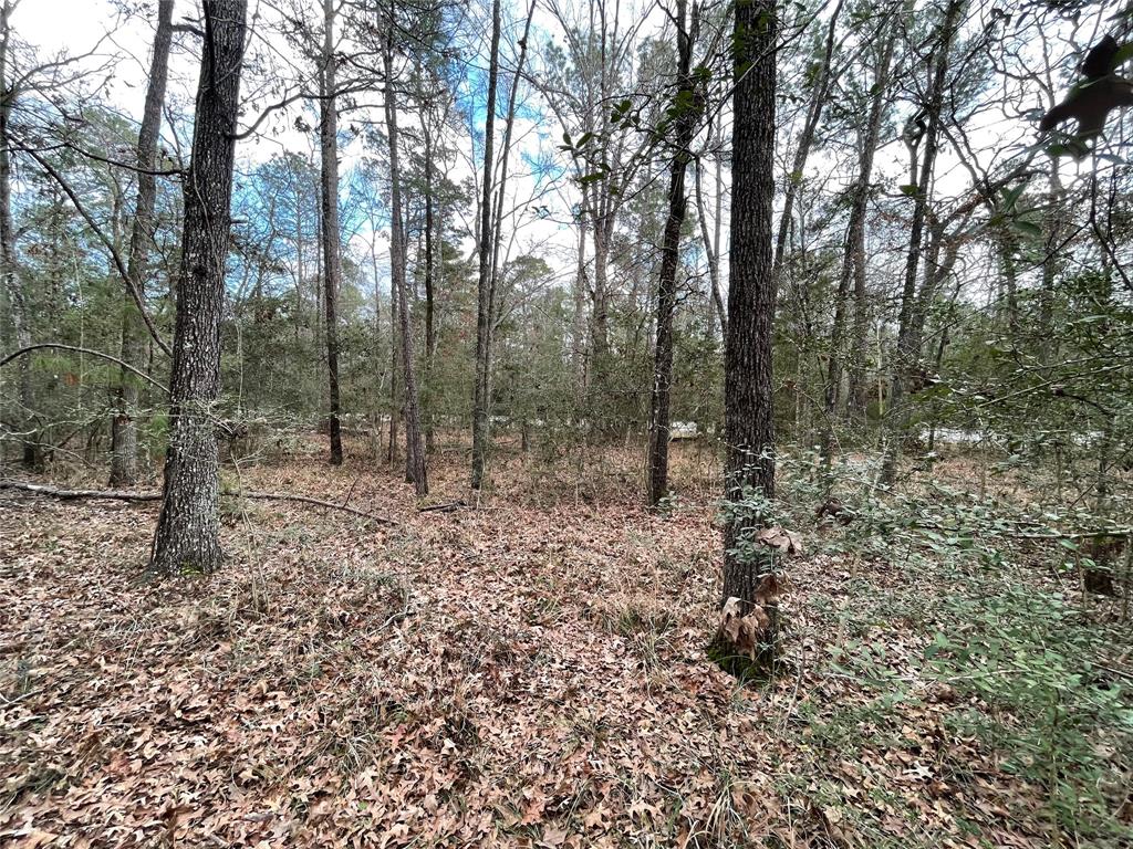 TBD Fir Court, Huntsville, Texas image 8