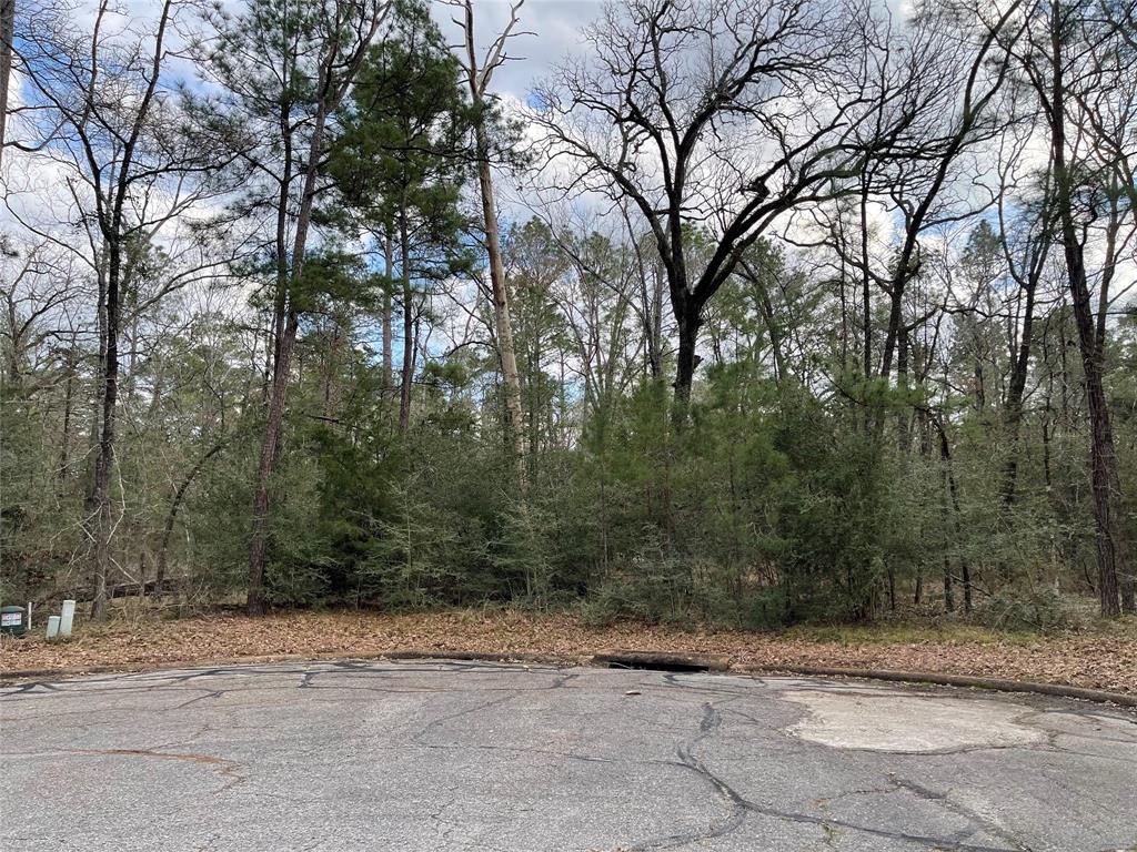 TBD Fir Court, Huntsville, Texas image 7