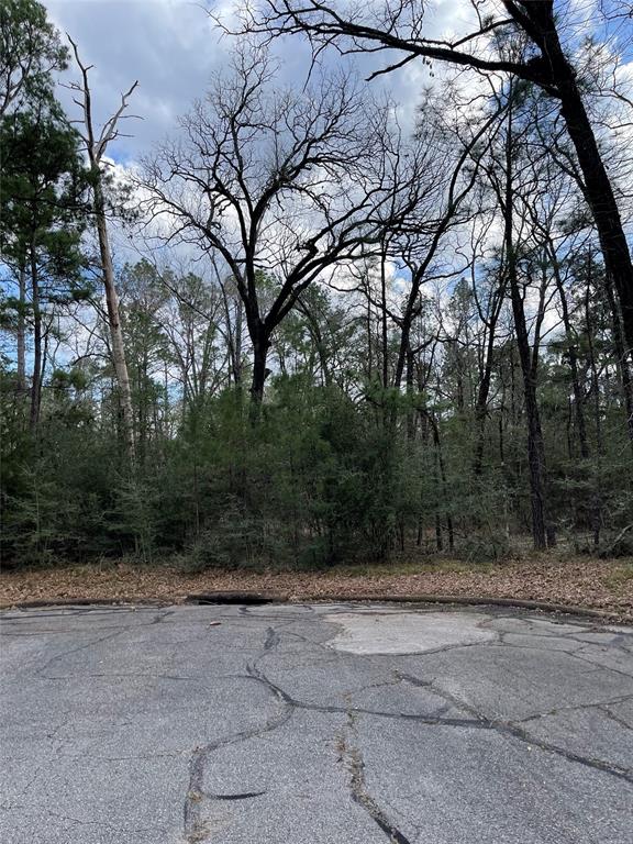 TBD Fir Court, Huntsville, Texas image 6