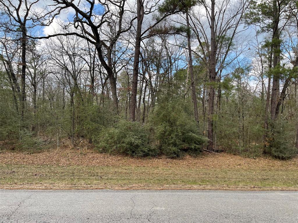 TBD Fir Court, Huntsville, Texas image 11