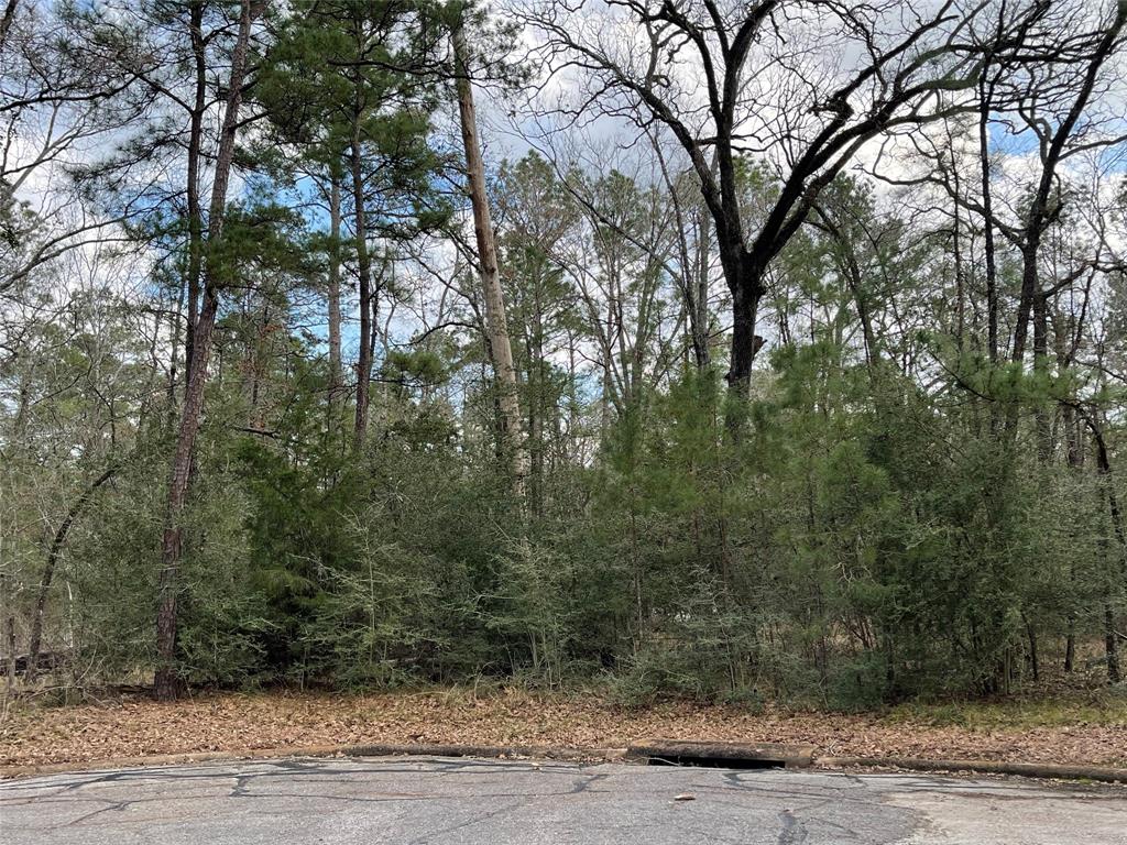 TBD Fir Court, Huntsville, Texas image 4