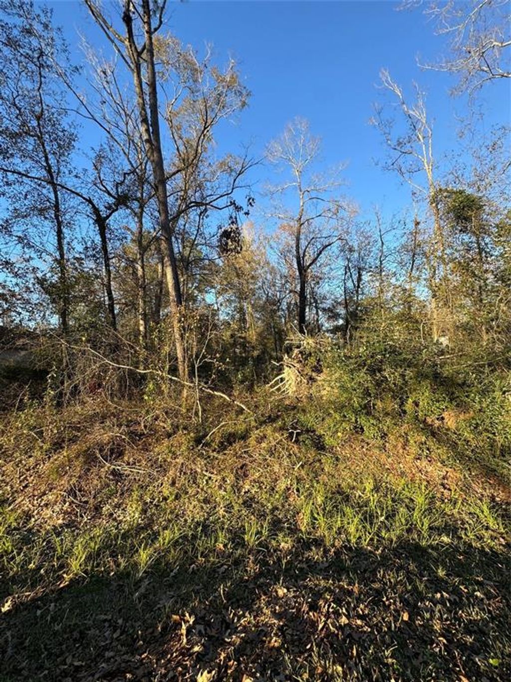 Photo of 307 Magnolia Bend Drive, New Caney, TX 77357 (MLS # 55143822)