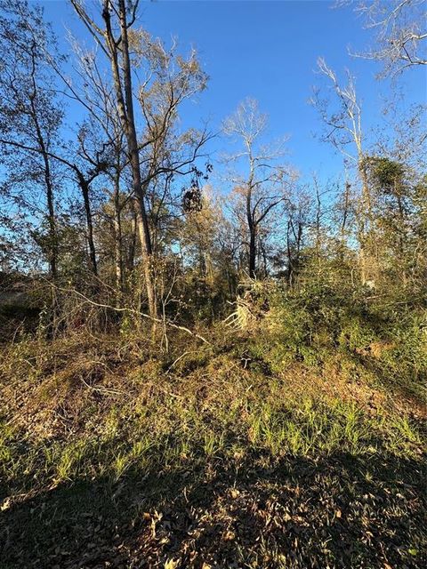 Photo of 307 Magnolia Bend Drive, New Caney, TX 77357 (MLS # 55143822)