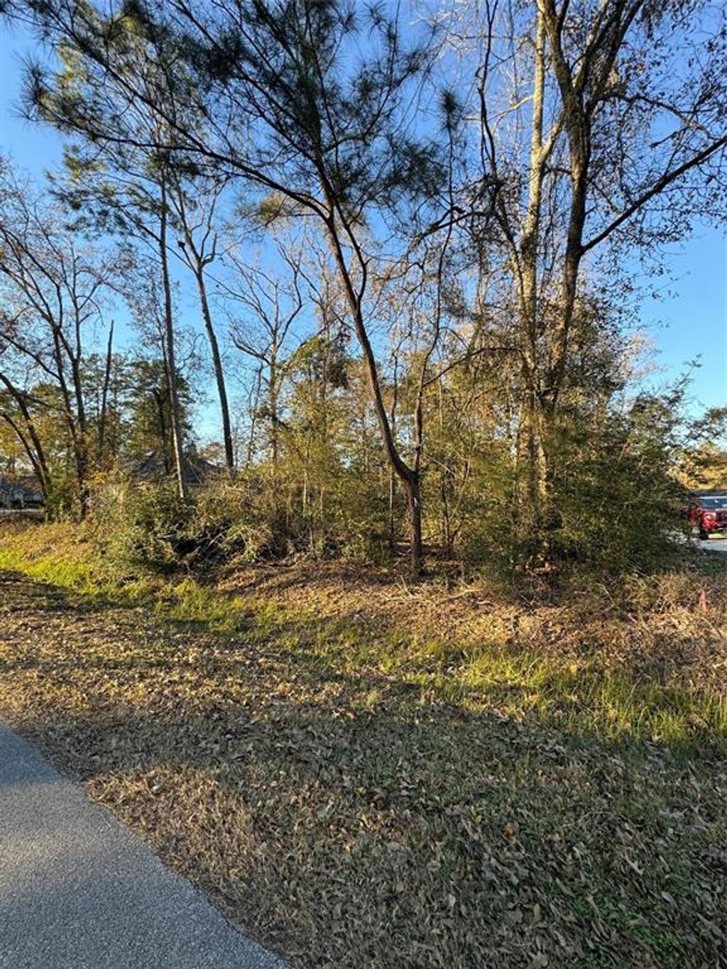 Photo of 307 Magnolia Bend Drive, New Caney, TX 77357 (MLS # 55143822)
