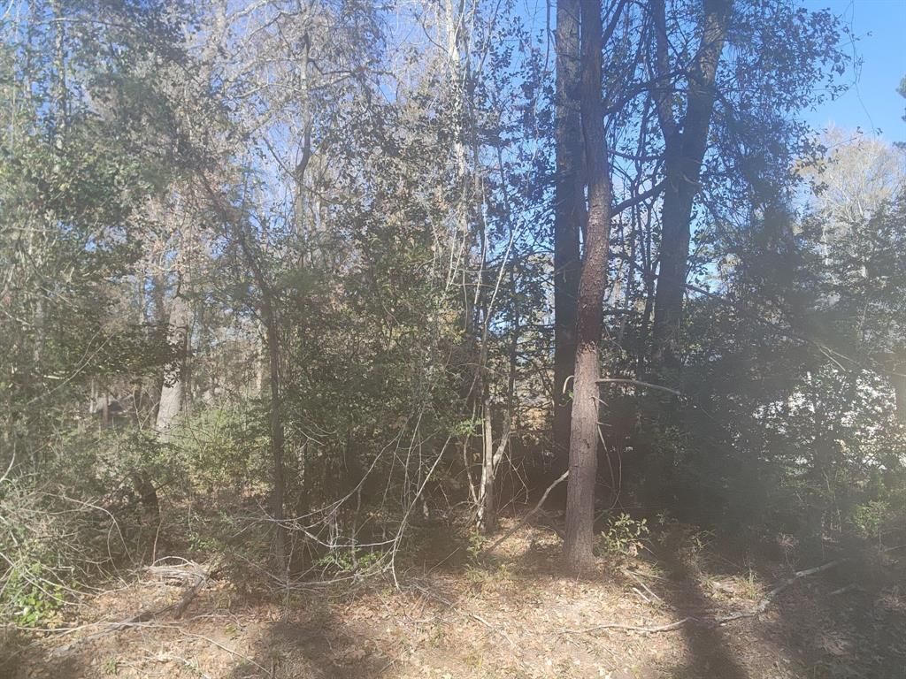 Photo of 307 Magnolia Bend Drive, New Caney, TX 77357 (MLS # 55143822)