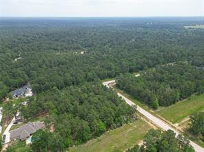 6-6-277 Dipping Vat Rd Road, Huntsville, Texas image 17