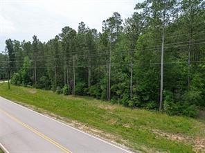 6-6-277 Dipping Vat Rd Road, Huntsville, Texas image 13