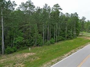 6-6-277 Dipping Vat Rd Road, Huntsville, Texas image 14