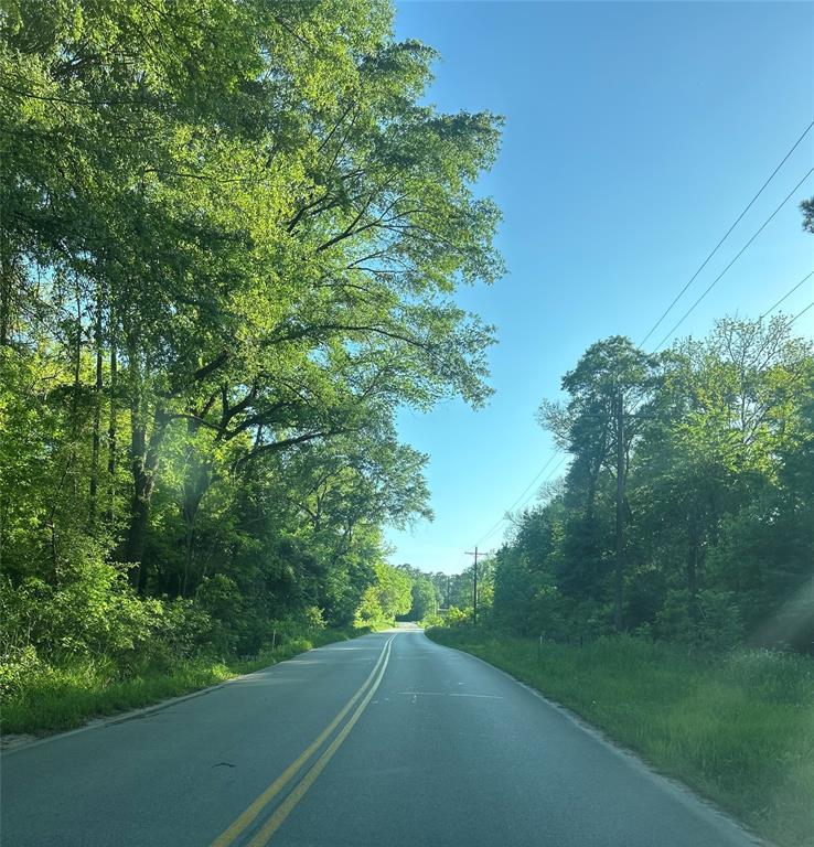 6-6-277 Dipping Vat Rd Road, Huntsville, Texas image 3