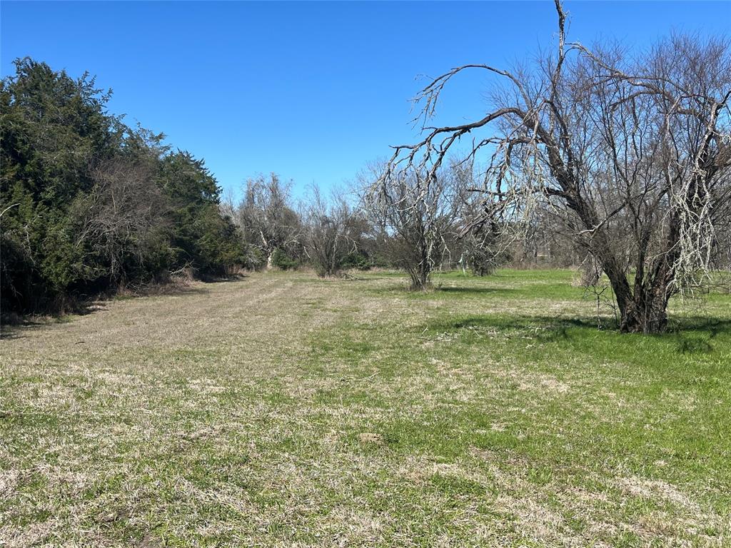 1680 Mcelroy Lane, New Ulm, Texas image 2