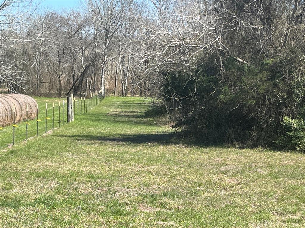 1680 Mcelroy Lane, New Ulm, Texas image 4