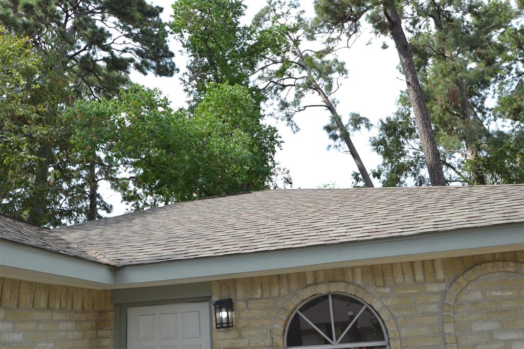 4527 Adonis Drive, Spring, Texas image 3