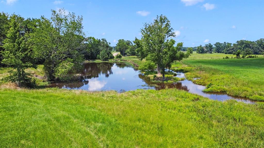 9089 County Road 225, Oakwood, Texas image 32