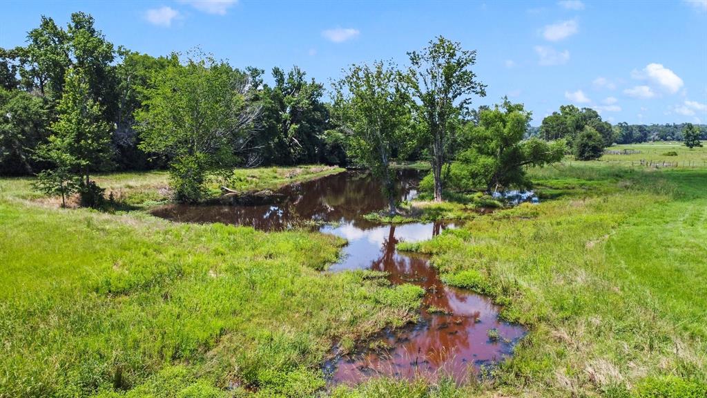 9089 County Road 225, Oakwood, Texas image 31